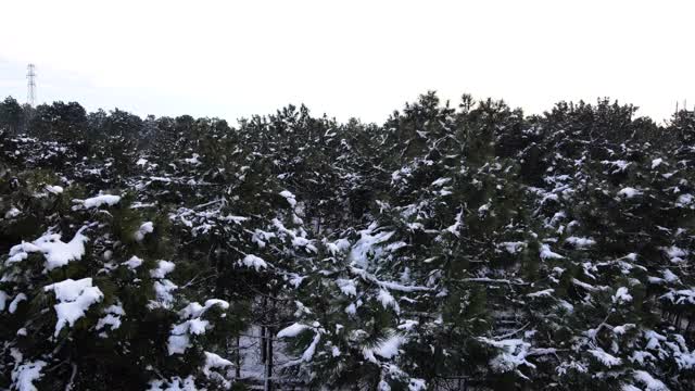 飞行在史诗般的冰雪覆盖森林之上，在寒冷的冬季景观，雪覆盖野餐区，雪覆盖休闲区，雪覆盖树木视频素材