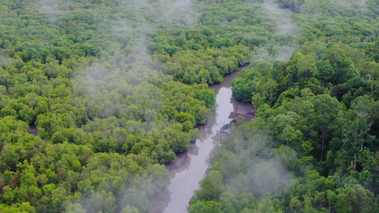 在沙巴山打干的塞皮洛克清晨的热带雨林鸟瞰图视频素材