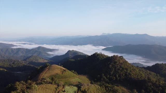 空中景观的绿色山脉和雾海无人机视频素材