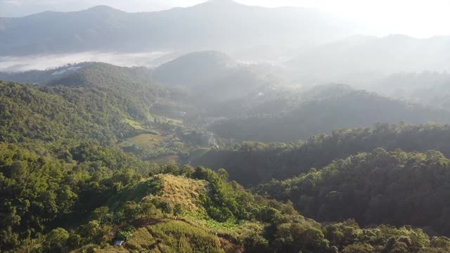 空中景观的绿化，雨林和山在雾天由无人机视频素材