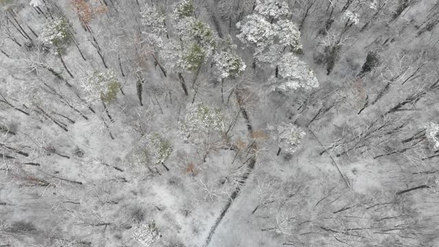 无人机拍摄的德国柏林在封锁期间下雪的景象视频素材