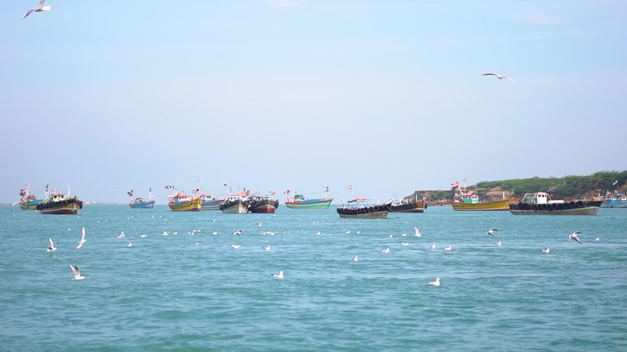 在印度古吉拉特邦奥卡的阿拉伯海，海鸥在船前飞翔视频素材