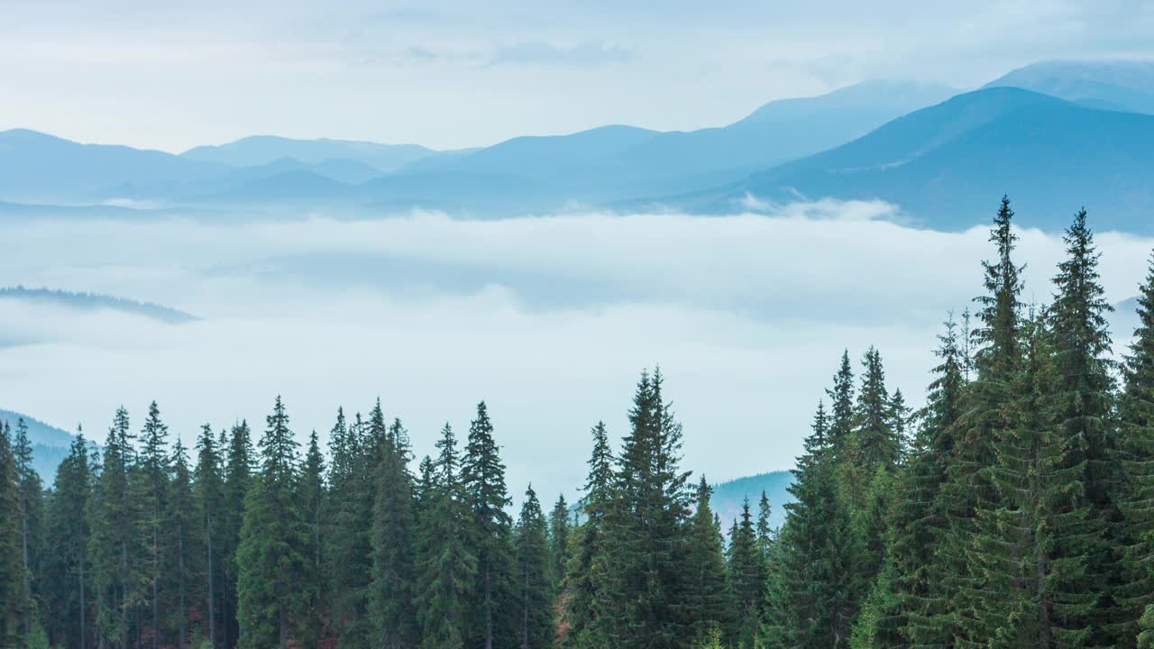 雨时，白云在山间秋山森林中缓缓移动。宁静的景色常绿松林在山上在雾。风景优美、美丽神秘。4 k。视频素材