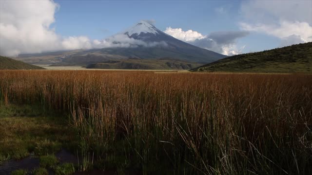 科多帕希火山国家公园视频下载