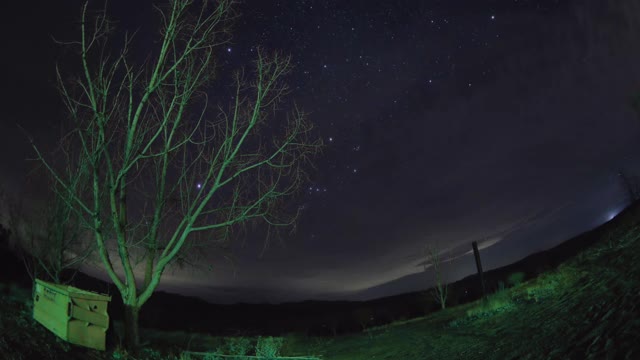 星星在沙漠夜空中移动，前景中有一棵树，鱼眼视频下载