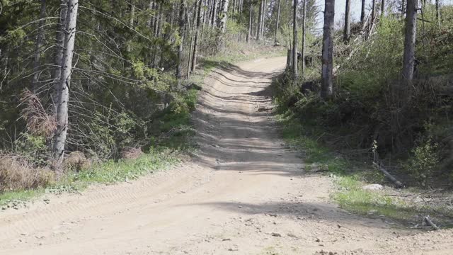 喀尔巴阡山脉，乌克兰- 2020年5月23日:越野车爬上小路视频素材