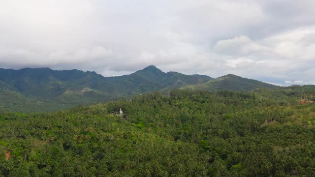 山雨林。菲律宾棉兰老岛视频素材