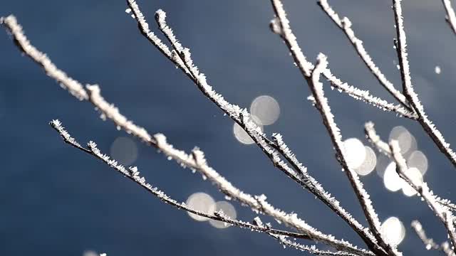 在一个阳光明媚的冬日里，带着流水的结霜树枝视频素材