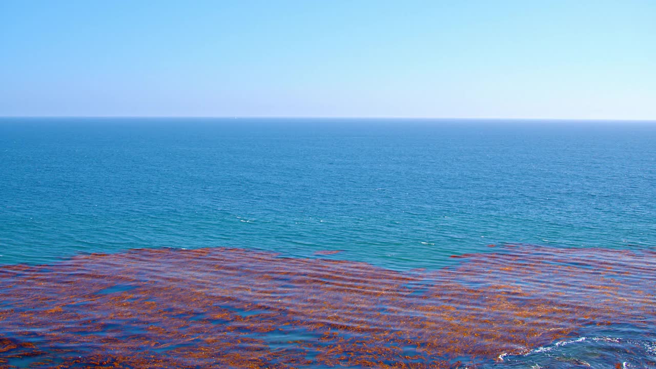 海洋的鸟瞰图。自然视频素材