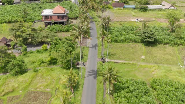 鸟瞰图的交通在一条蜿蜒的道路上，棕榈树经过巴厘岛乡村的传统房屋视频素材