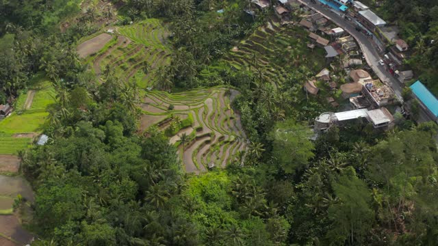 近距离鸟瞰梯田灌溉水稻农场在山旁边的村庄在巴厘岛，印度尼西亚视频素材