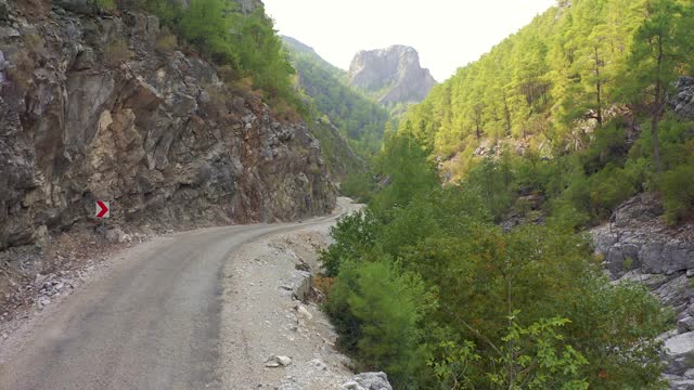 沿着河流和土耳其山区的针叶林蜿蜒前行。鸟瞰图4 k。视频素材