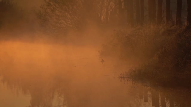 雾漂浮在水面上视频下载