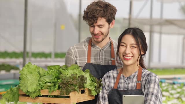 快乐的年轻亚洲夫妇农民收获绿色橡树从水培蔬菜农场在温室花园早上。有机农业为健康，素食食品，小型企业的概念。视频素材