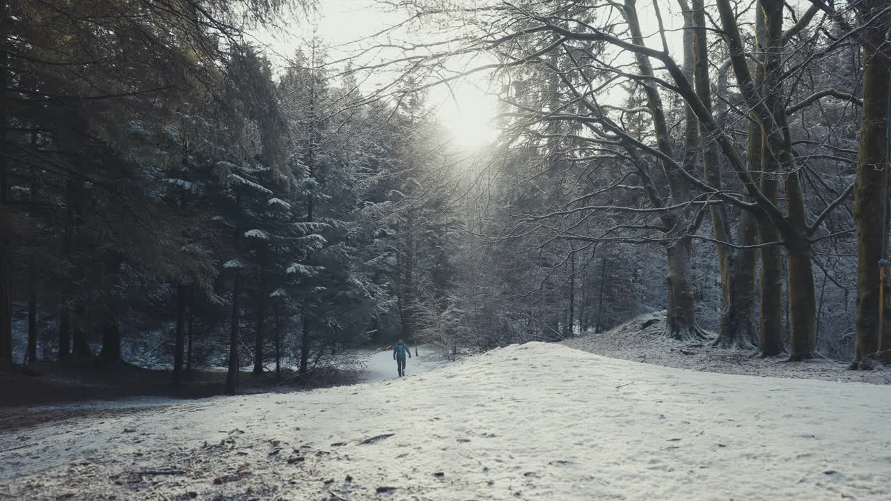 雪天里在森林里徒步旅行的妇女视频素材