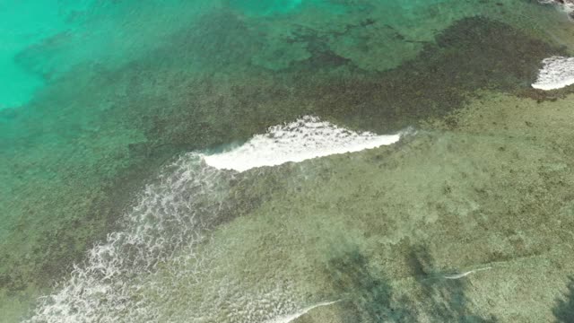 鸟瞰图天堂海滩拉迪格岛，塞舌尔视频素材