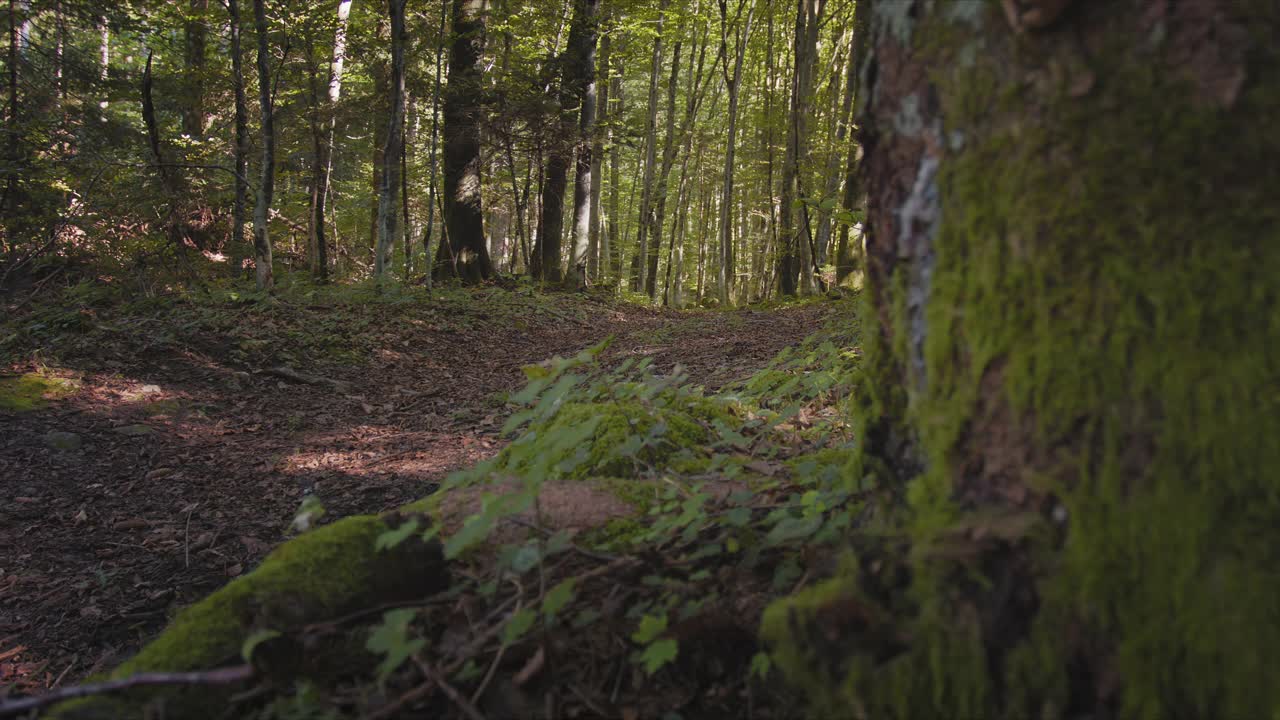 女人在大自然中骑山地车视频素材