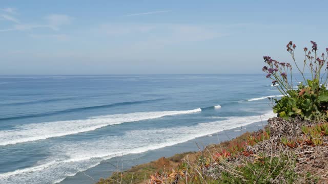 海景观景台，德尔马Torrey松树，美国加州海岸。海潮，碧波远眺视频素材