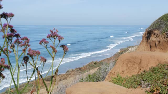 海景观景台，德尔马Torrey松树，美国加州海岸。海潮，碧波远眺视频素材