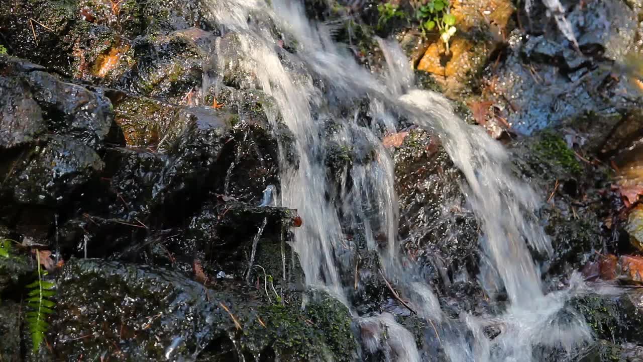 美丽的瀑布从融化的雪在夕阳照耀下的森林小溪视频素材