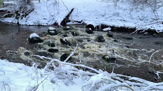 在冬天被雪覆盖的时候，在汹涌的河水上用小石头散步视频素材