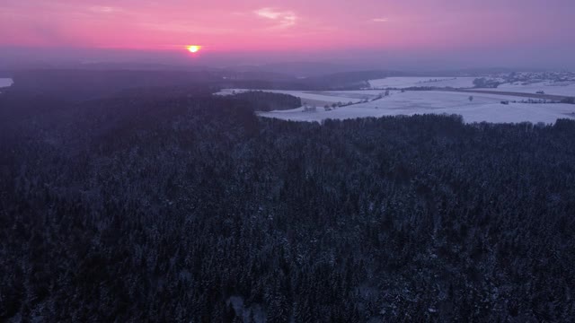 无人机飞进红色的日出后面的云松树林与雪在冬天视频下载