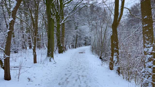 在一个有雾的冬日早晨，漫步在白雪覆盖的田野上视频素材