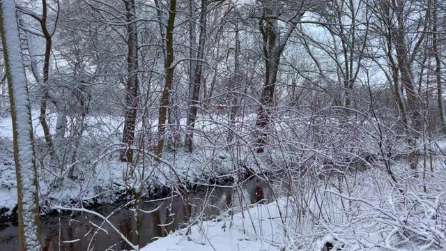 在冬天被雪覆盖的时候，在汹涌的河水上用小石头散步视频素材