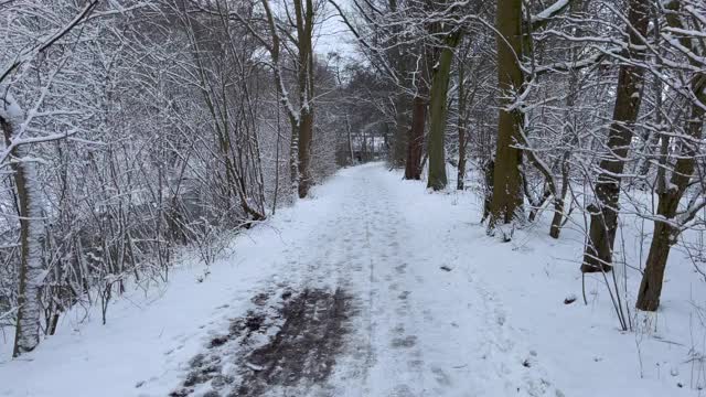 在冬天被雪覆盖的时候，在汹涌的河水上用小石头散步视频素材