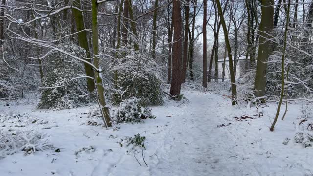 在冬天被雪覆盖的时候，在汹涌的河水上用小石头散步视频素材