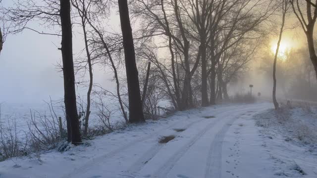 在一个有雾的冬日早晨，漫步在白雪覆盖的田野上视频素材