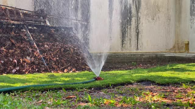 新草浇水视频素材