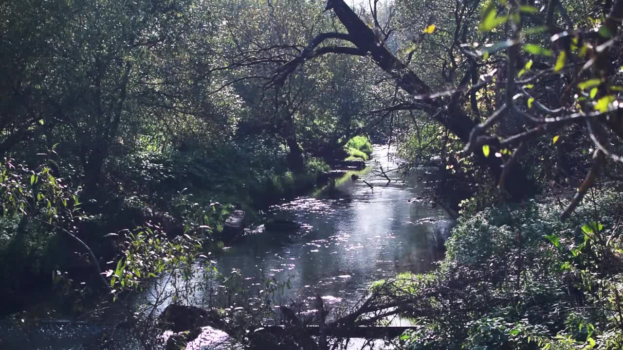 初秋阳光明媚的简单河川景观视频素材