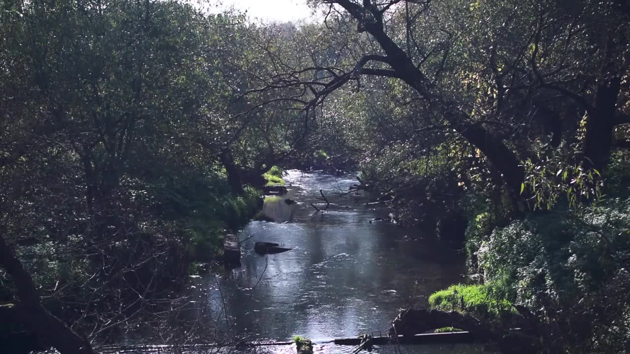 初秋阳光明媚的简单河川景观视频素材