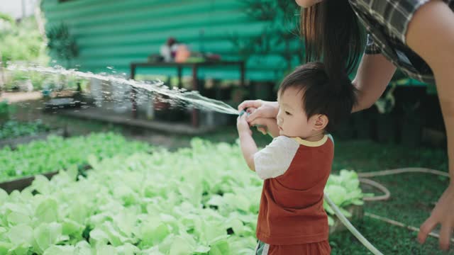 母亲和儿子照料植物视频素材