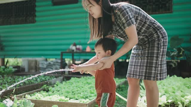 年轻女子和她可爱的儿子在给植物浇水视频素材