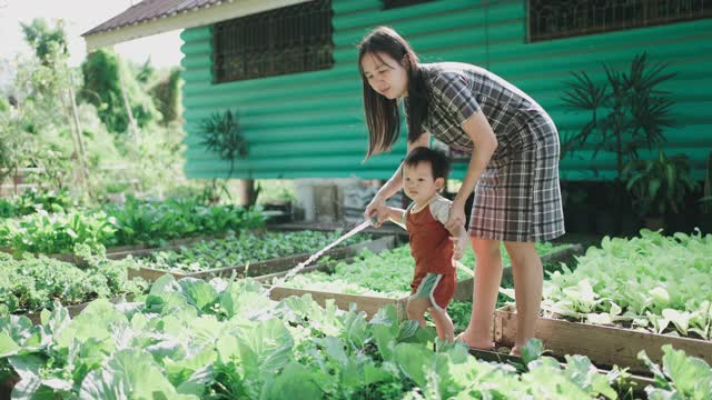 母亲和儿子照料植物视频素材