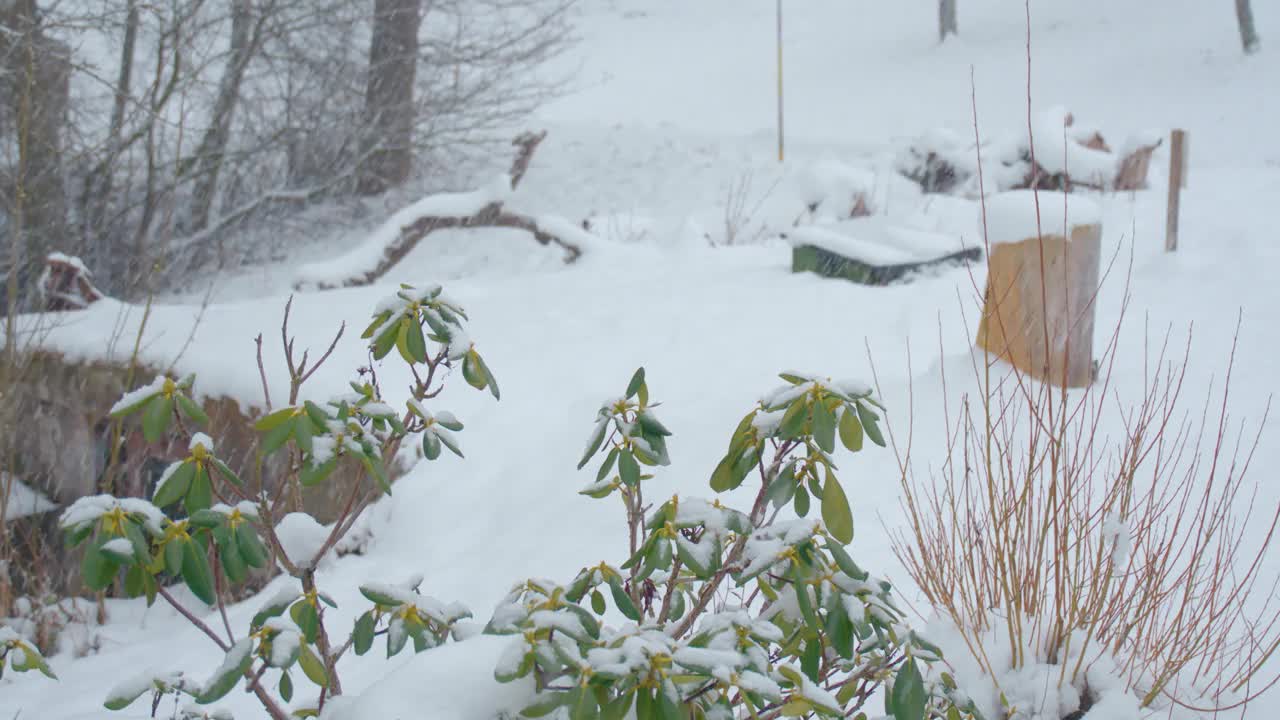 冬天，房子周围的花园下雪视频素材