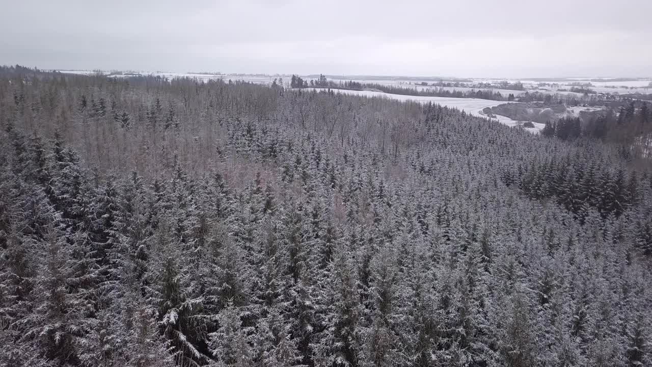 非常缓慢的电影飞行在美丽的冬季森林树梢。覆盖着雪的云杉上结霜。冬天的大自然，冰冻的白色树梢。俯视图相机飞过雪景。捷克共和国,欧洲视频素材