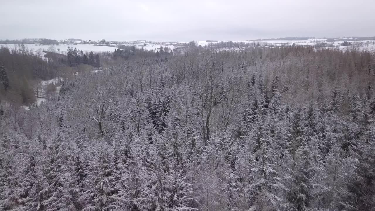 空中鸟瞰美丽的冬季森林树梢。覆盖着雪的云杉上结霜。冬天的大自然，冰冻的白色树梢。俯视图相机飞过雪景。无人机飞行，捷克共和国，欧洲视频素材