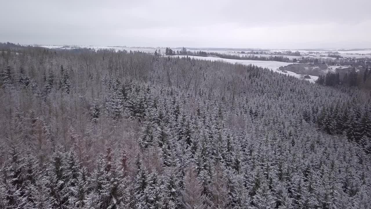 飞过美丽的冬季森林的树梢。覆盖着雪的云杉上结霜。冬天的大自然，冰冻的白色树梢。俯视图相机飞过雪景。无人机飞行，捷克共和国，欧洲视频素材