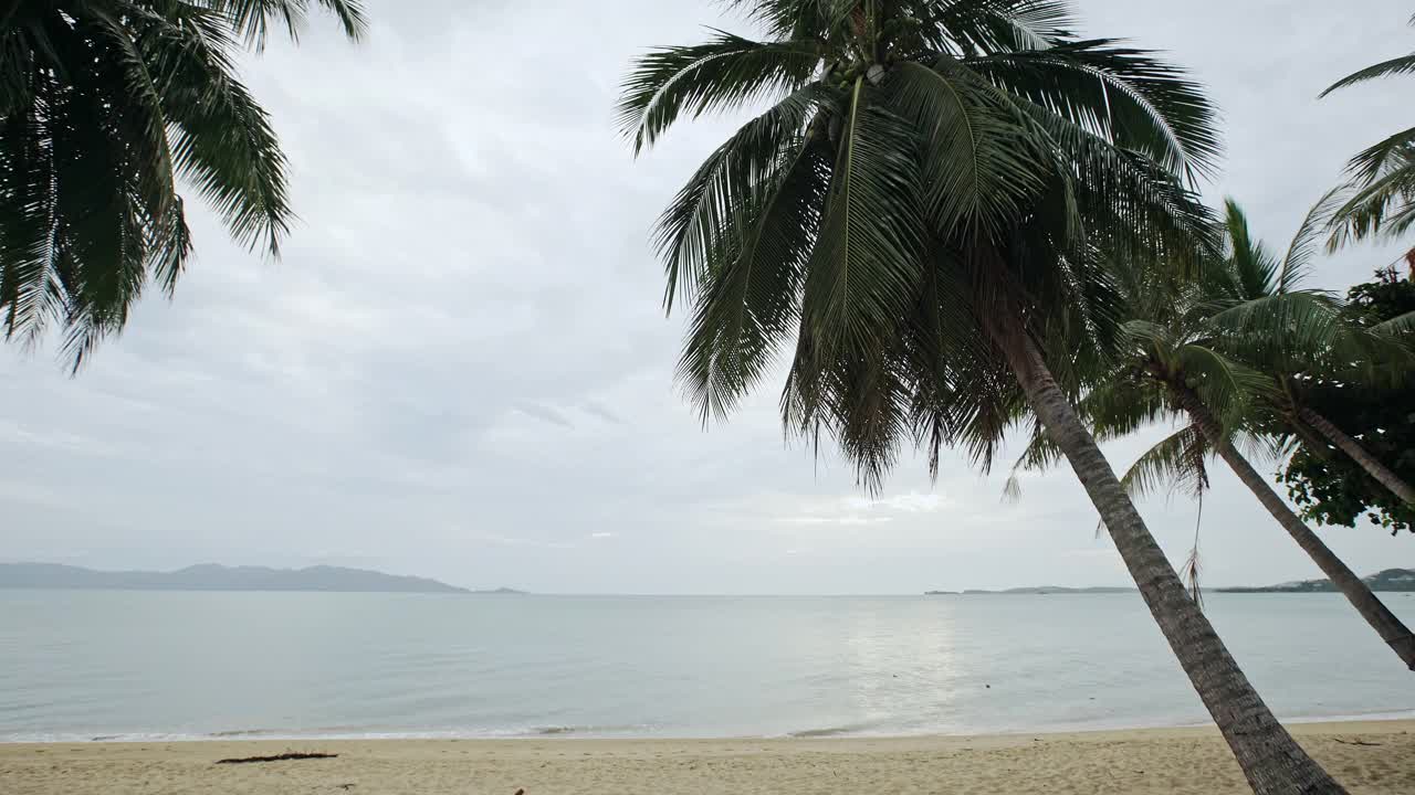 美丽的海滩。美丽的热带海滩，棕榈树环绕。假期和假期概念。热带海滩视频素材