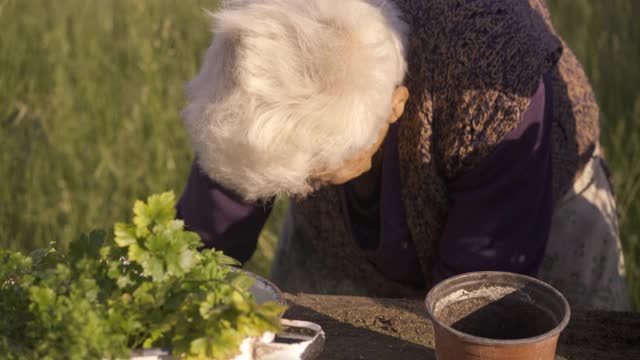 一家人在花园里种花视频素材