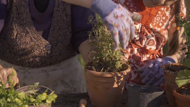 一家人在花园里种花视频素材