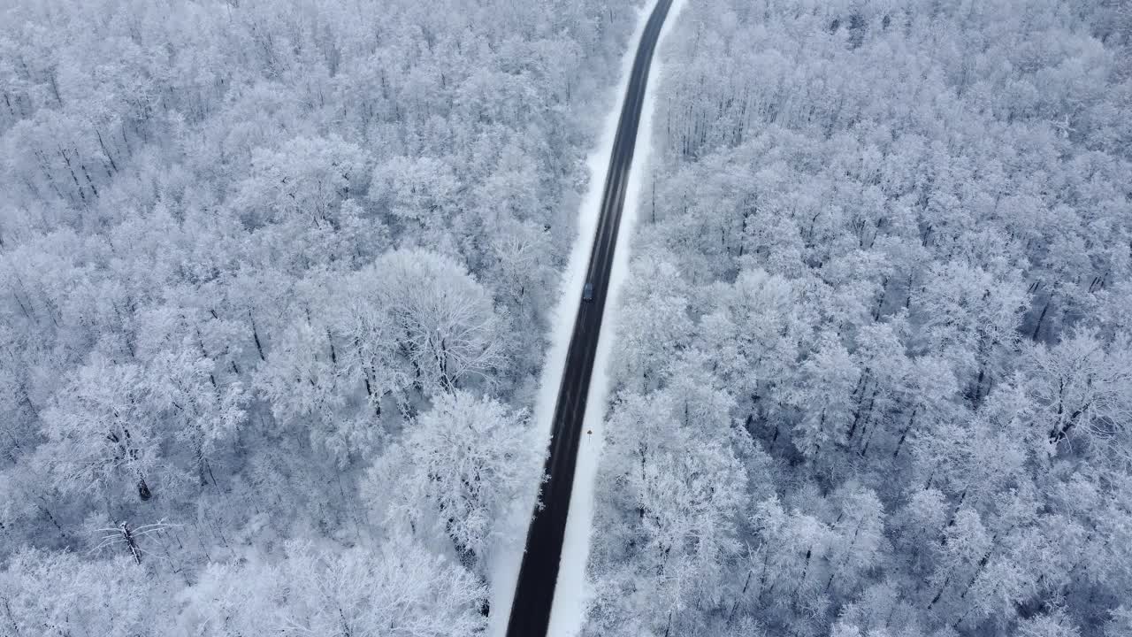 黑色柏油路之间的雪林从鸟瞰。视频素材