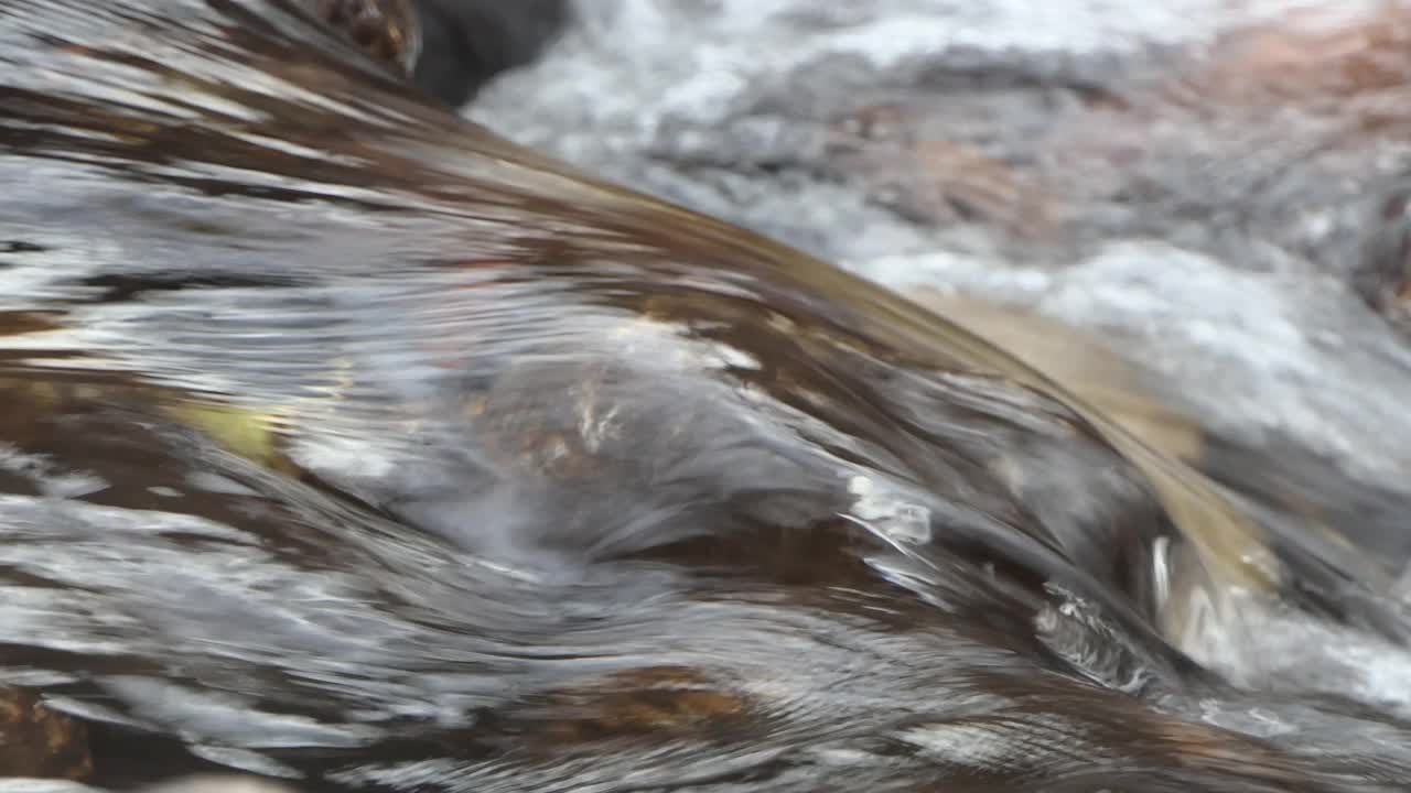 通过快速流动的水关注绿叶视频素材