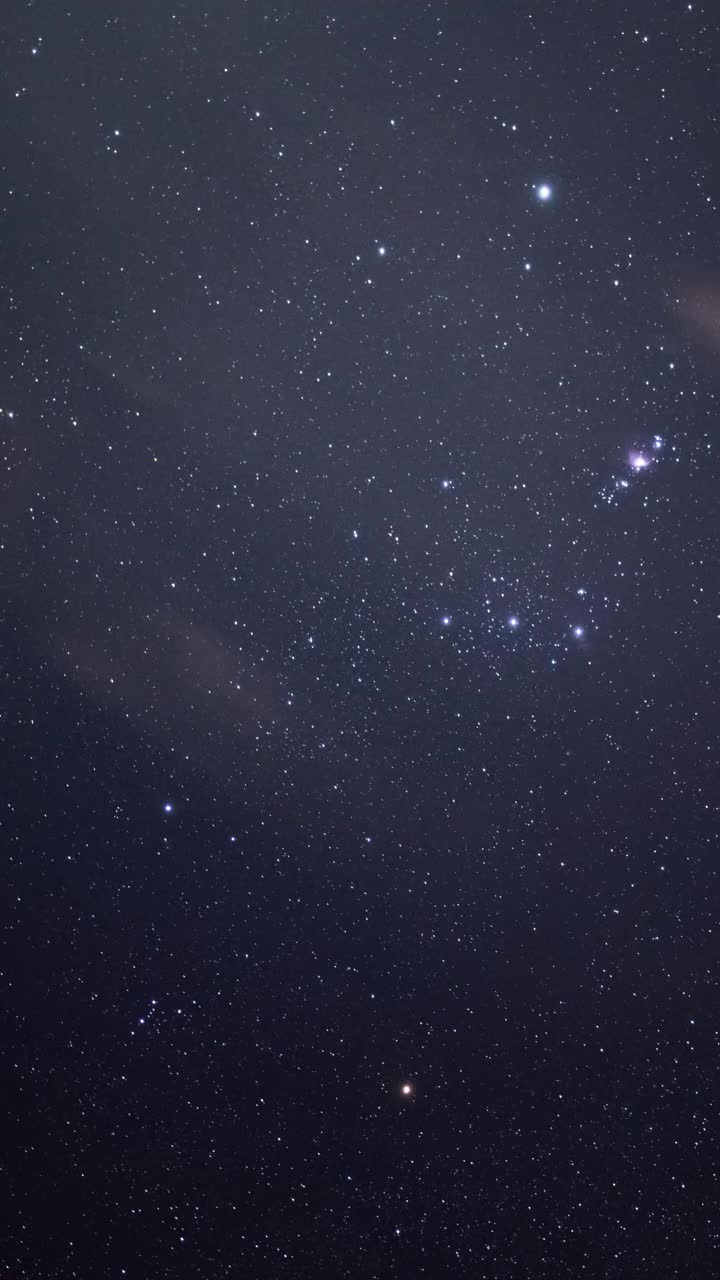 猎户座在冬天穿过夜空(垂直延时)视频素材