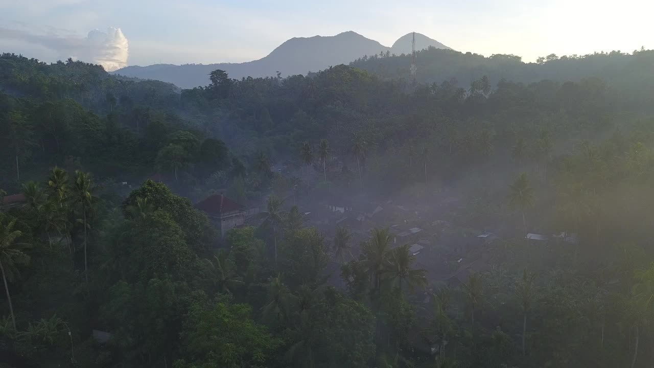 雾蒙蒙的村庄和树木茂密的森林/印度尼西亚的巴厘岛视频素材