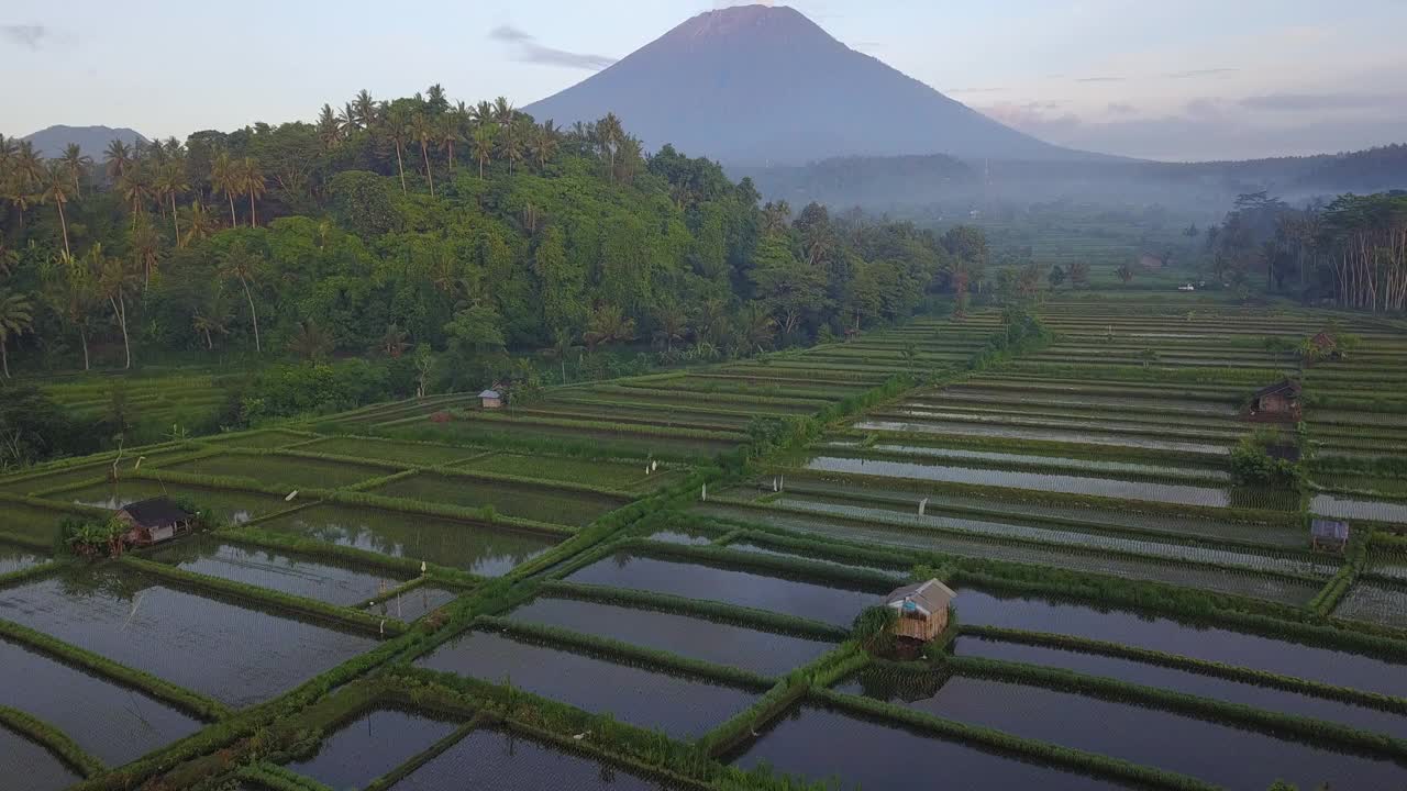 田野和稻田与山/巴厘岛，印度尼西亚视频素材