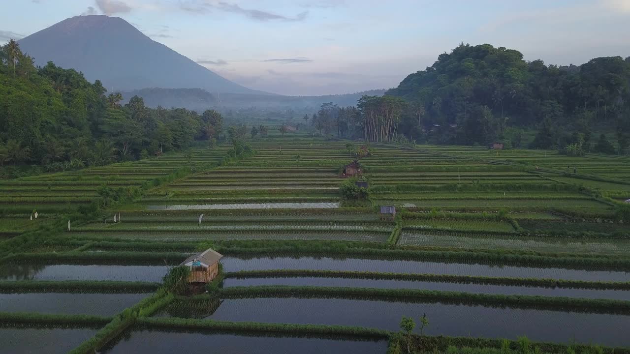 田野和稻田与山/巴厘岛，印度尼西亚视频素材